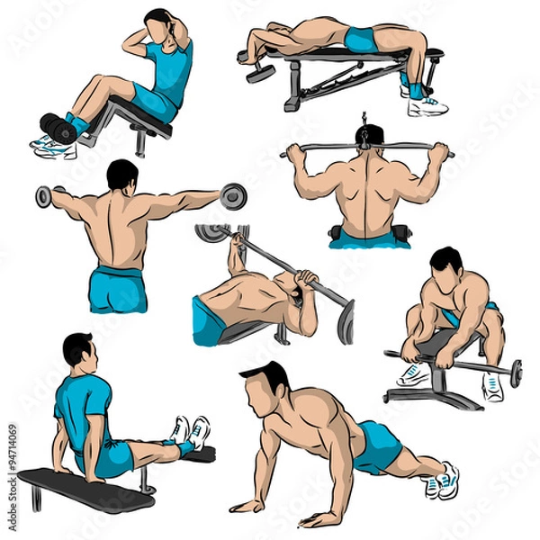 Obraz Vector man is engaged at the gym