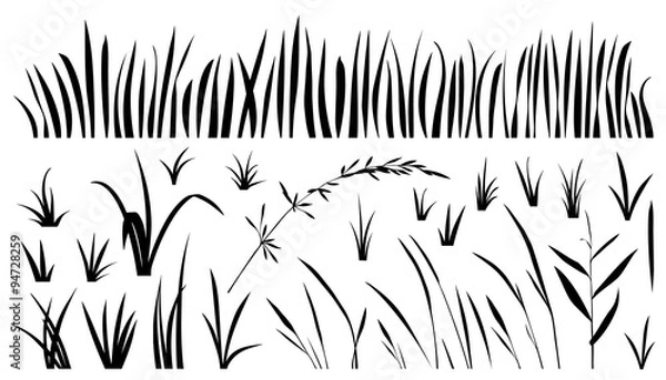 Obraz sylwetki trawy