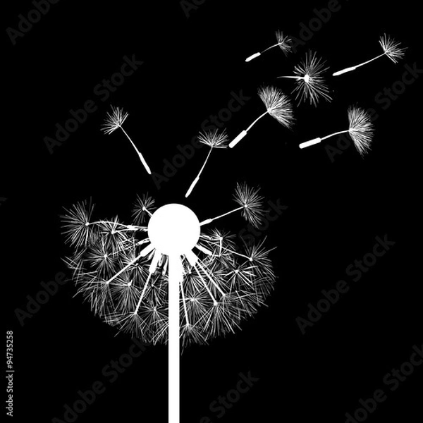 Obraz dandelion flowers