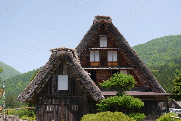 Fototapeta Gassho-zukuri, a special building located in Shirakawa Township, Japan. The Gasshō-style house is characterized by a steeply slanting thatched roof, resembling two hands joined in prayer.