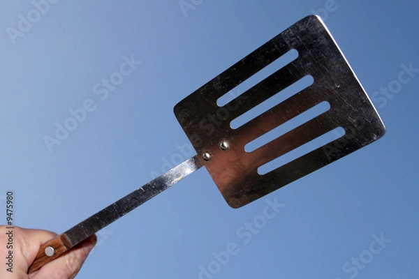 Obraz Spathula in hand