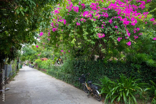 Fototapeta 베트남 유명한 관광 명소인 호인안의 아름다운 풍경이다.