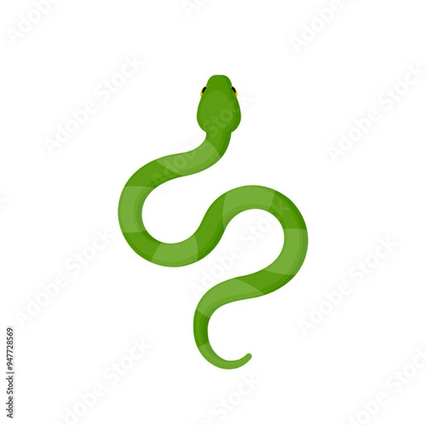 Obraz green snake vector illustration
