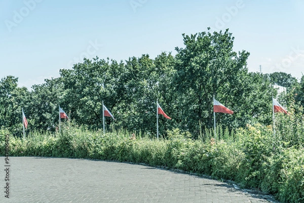 Obraz Rząd flag ustawionych w półkolu