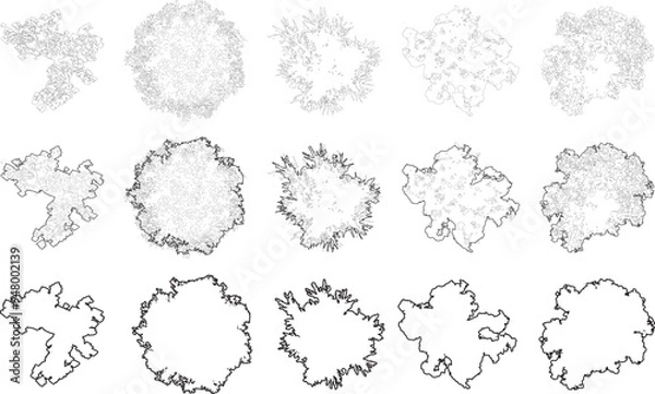 Obraz Tree plan architectural line silhouettes CAD
