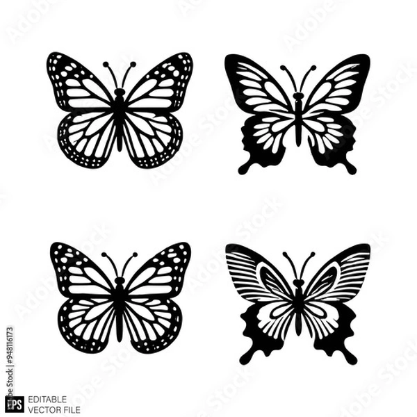 Fototapeta butterfly Isolated vector graphic illustration design in black and white silhouette for clip art templates