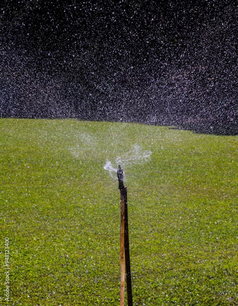 Obraz Mist sprayed on the lawn