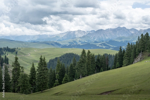Fototapeta Karajun Grassland in Xinjiang, China during Summer