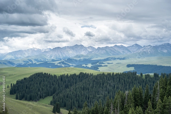 Fototapeta landscape with trees and clouds