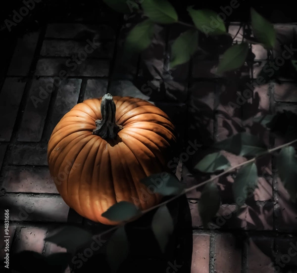 Obraz Pumpkin in moonlight
