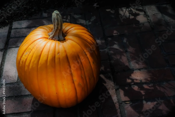 Obraz Pumpkin in moonlight 