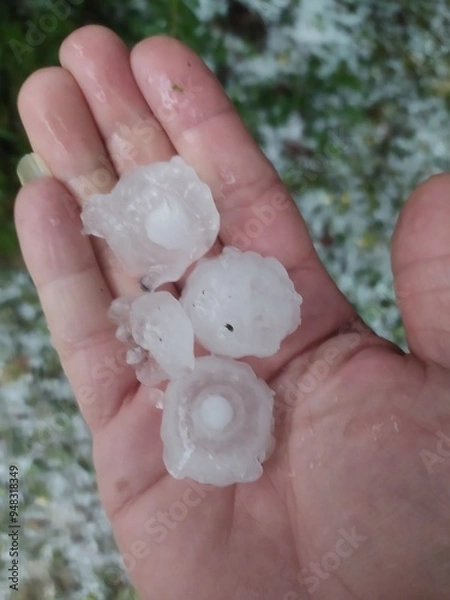 Fototapeta Detailed view of hailstones in the palm of a hand showing the impact of severe weather.