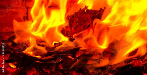 Obraz Firewood beautifully lit in the fireplace
