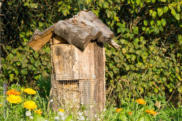 Obraz Insektenhotel in Blumenwiese