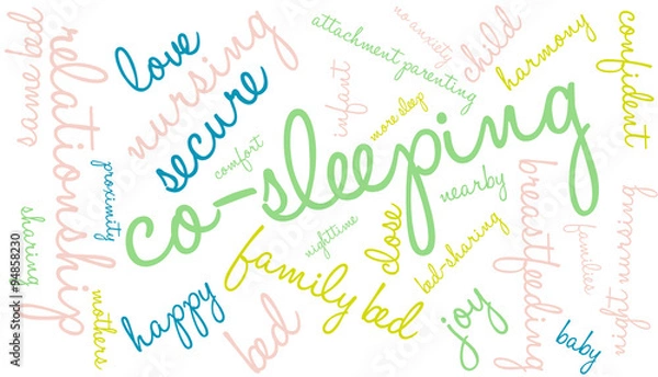 Obraz Co-Sleeping Word Cloud
