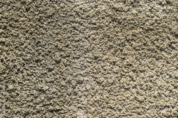 Obraz plaster textured wall