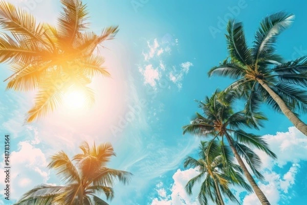 Fototapeta Palm Trees Against a Sunny Sky