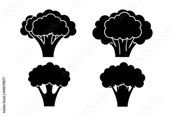 Fototapeta Broccoli silhouette black and white vector illustration