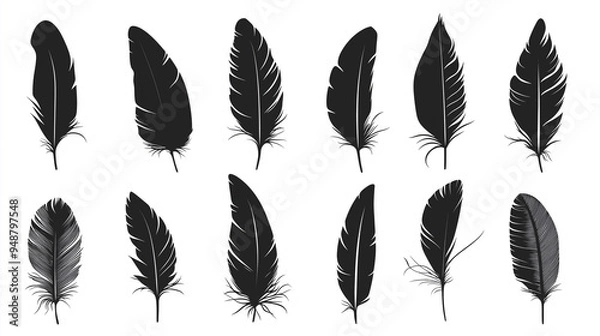 Fototapeta Black feathers icons set. Isolated dark feather, bird plumage. Decorative clipart of boho, wildlife, hand made. Wild nature, writing vintage tool