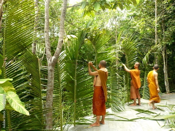 Obraz moines buddhiste