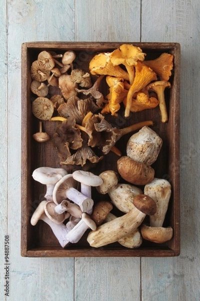 Obraz Wybór grzybów