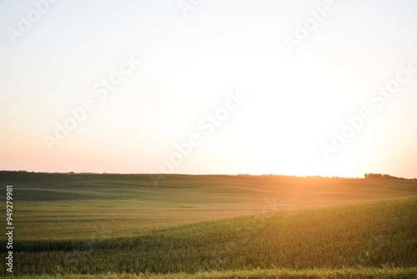 Obraz sunset over field