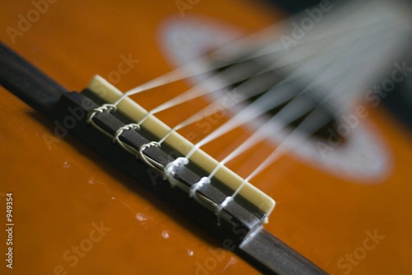 Obraz six string guitar