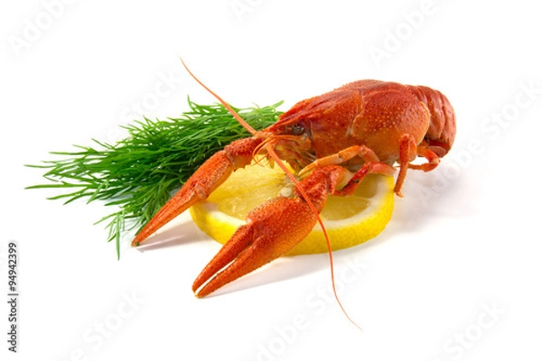 Fototapeta Boiled crawfish