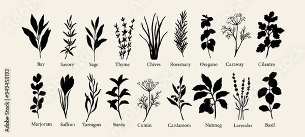 Obraz Flat vector herbs and spices collection