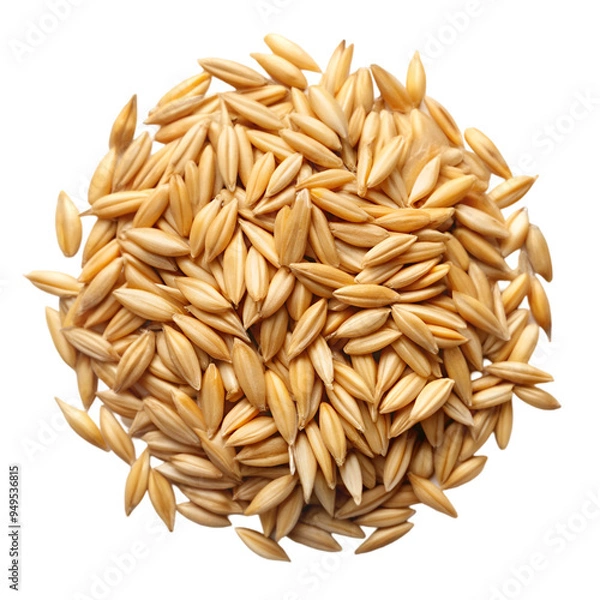 Fototapeta Grain of oats Isolated white background