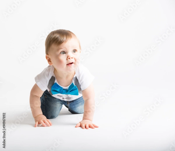 Fototapeta a cute 1 year old sits in a white studio setting. The boy is crawling and looking up right off camera with surprised look. He is dressed in Tshirt, jeans, suspenders and blue bow tie