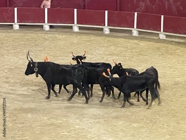 Fototapeta Stierkampf