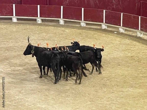 Fototapeta Stierkampf
