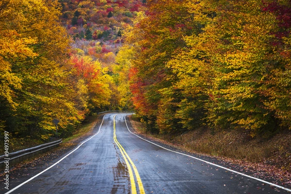 Fototapeta na prezent Wspaniałe kolory jesiennych liści wzdłuż autostrady New HAmpshire.