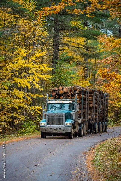 Fototapeta Enemy of the forest, A logging truck hauling its load out of the woods.