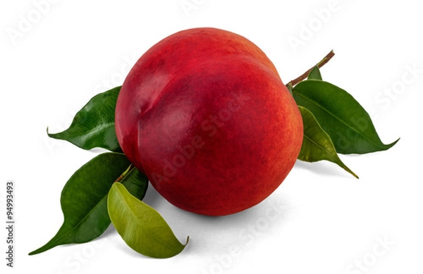 Obraz One Nectarine