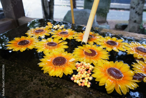 Fototapeta 水に浮かぶ花