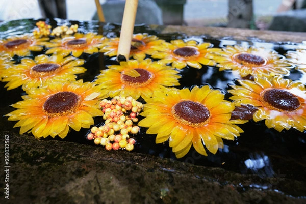 Fototapeta 水に浮かぶ花