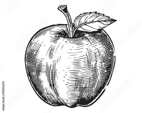 Obraz Hand-Drawn Apple Illustration in Black and White with Vintage Engraved Woodcut Style