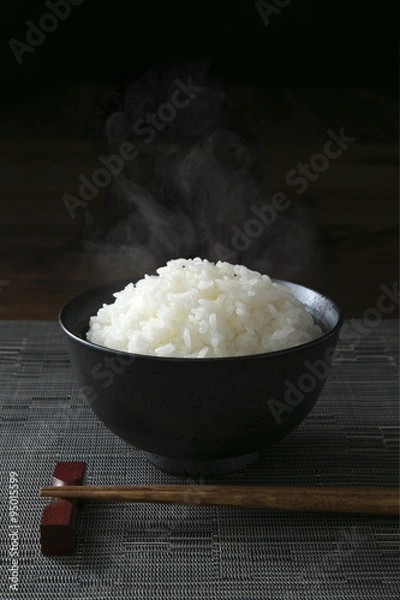 Obraz ごはん
