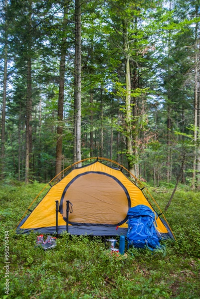 Obraz Camping in the forest. The tent is in a clearing in the forest among the trees.