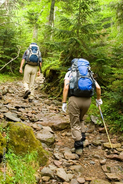 Fototapeta wędrowcy
