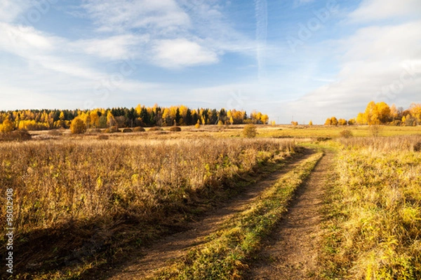 Fototapeta Rural path in a field