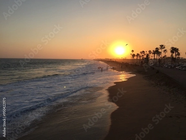 Fototapeta sunset at the beach