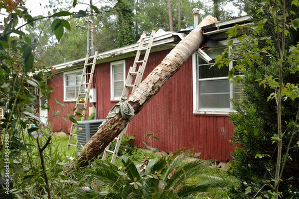 Obraz EF0 tornado damage on house roof