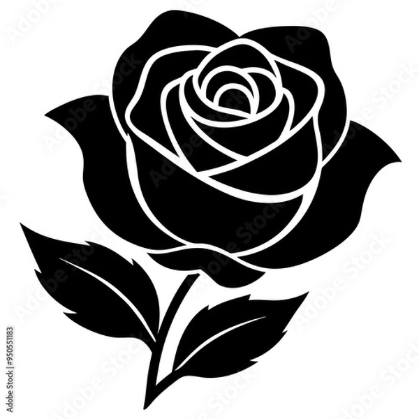 Obraz black and white rose