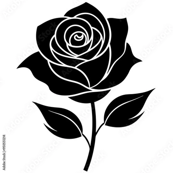 Obraz black and white rose
