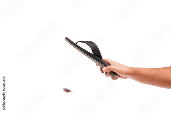 Obraz Killing a cockroach