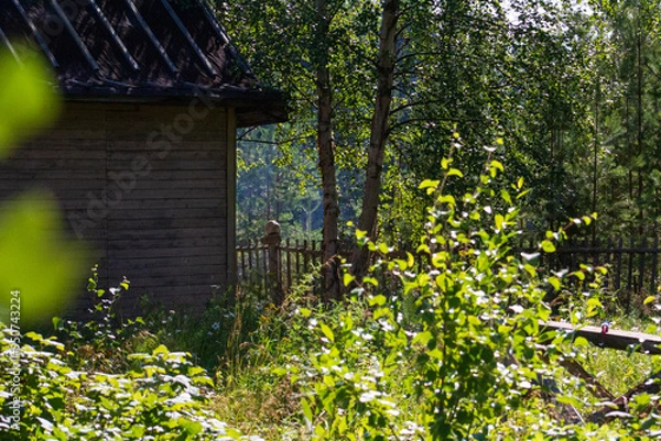 Obraz Summer dacha atmosphere on the Kola Peninsula. Flowers in the garden