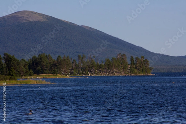 Obraz The coastline of the White Sea, in summer, in July, in the Murmansk region, in the north.Tourism, deserted place of rest